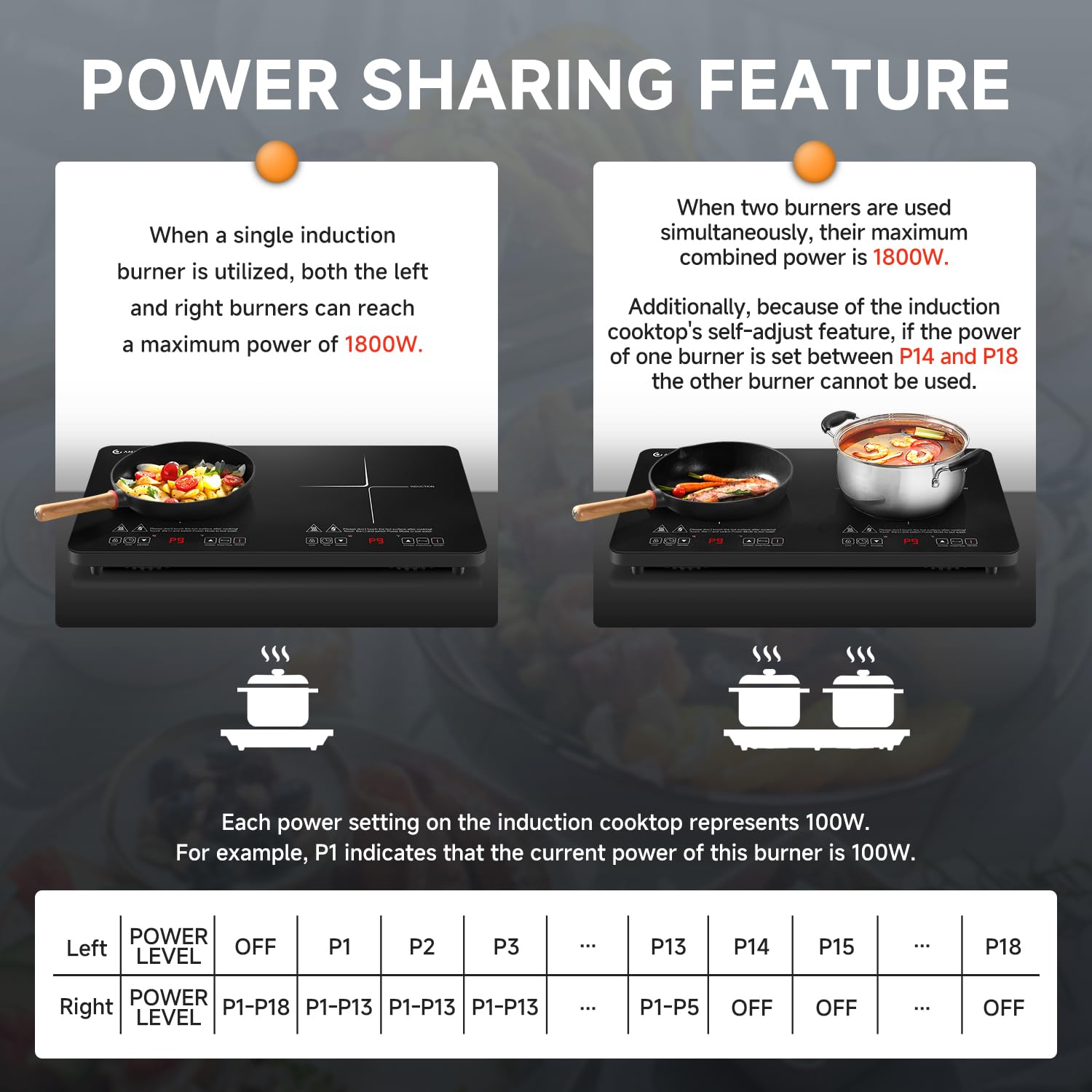 1800W Double Induction Cooktop