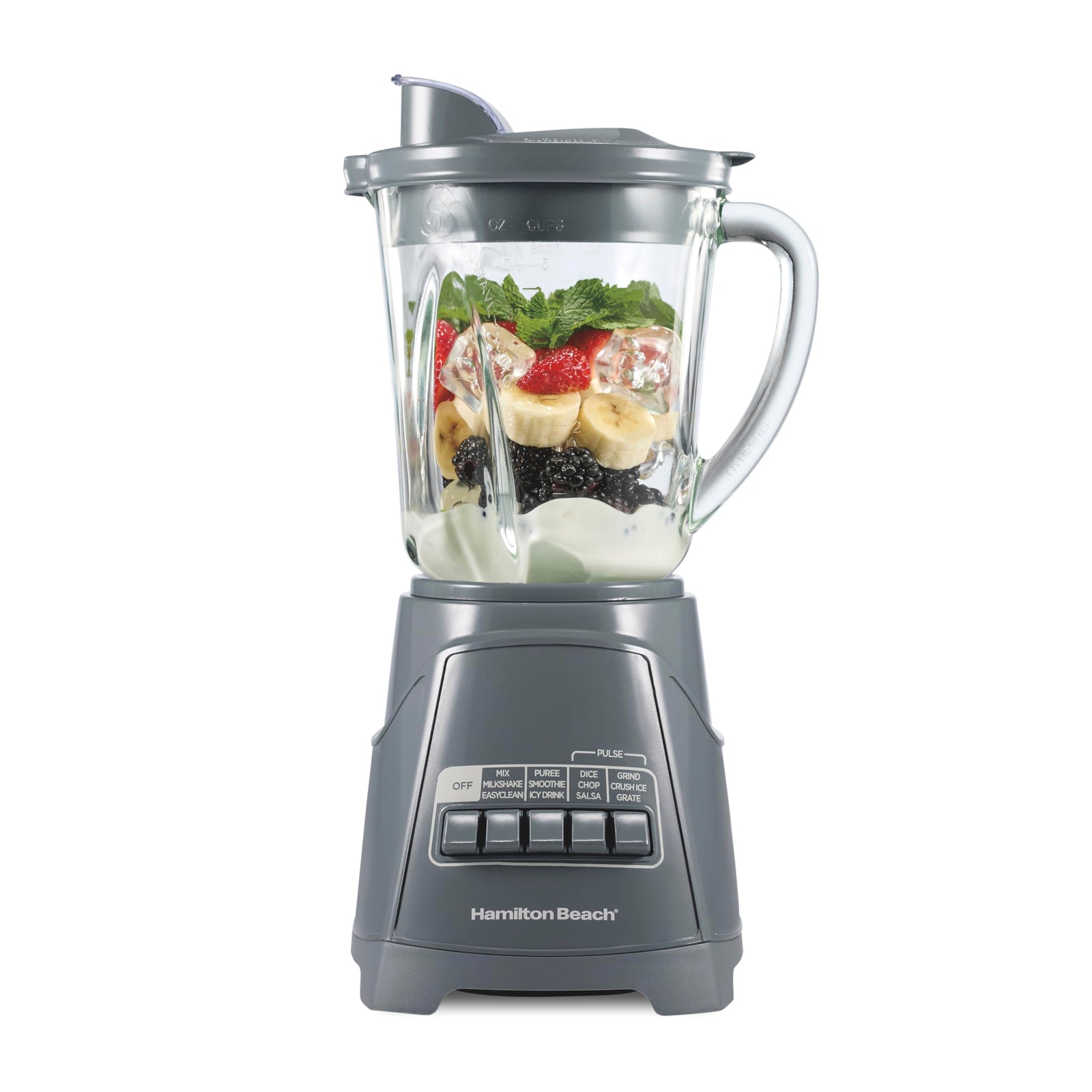 Hamilton Beach Power Elite Blender