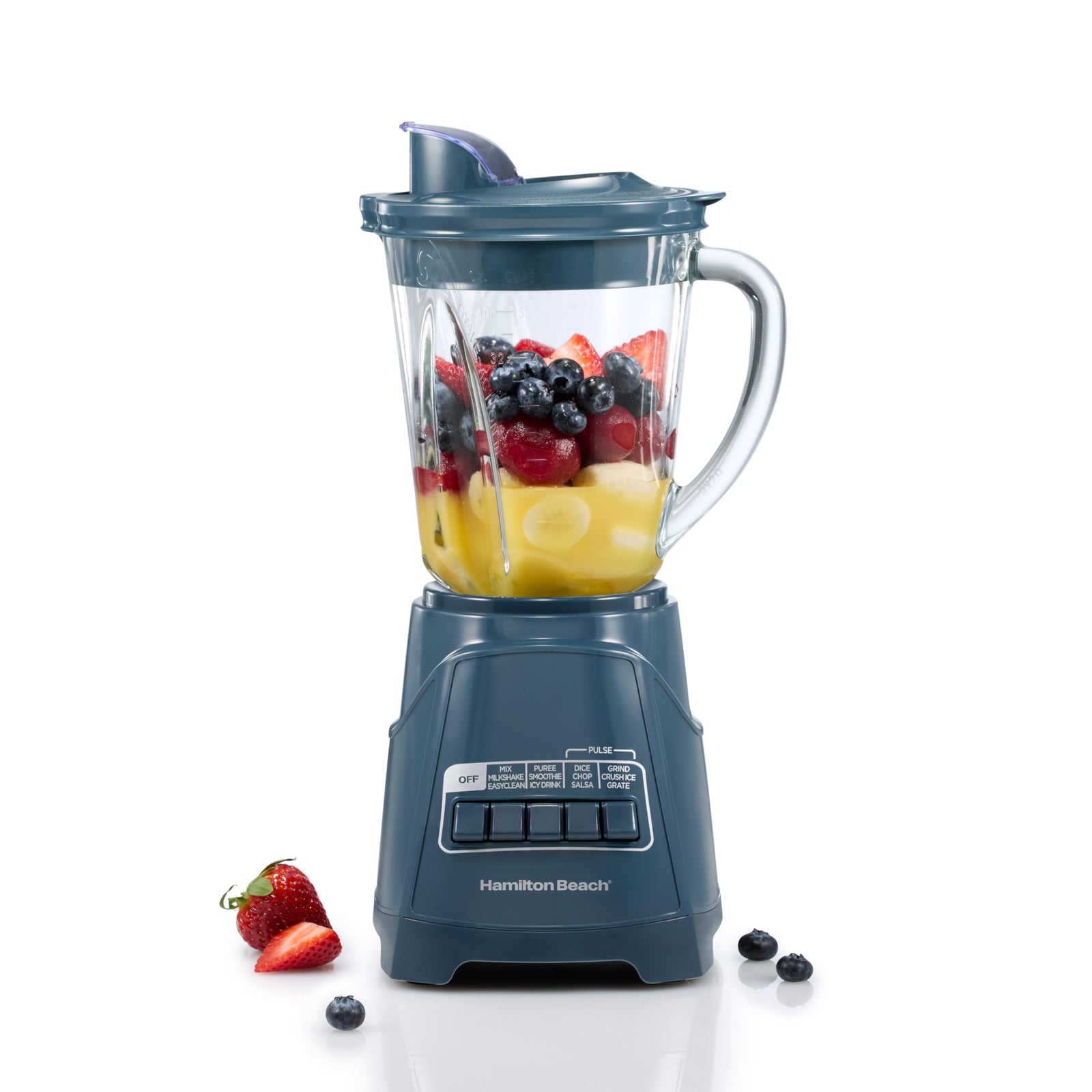 Hamilton Beach Power Elite Blender