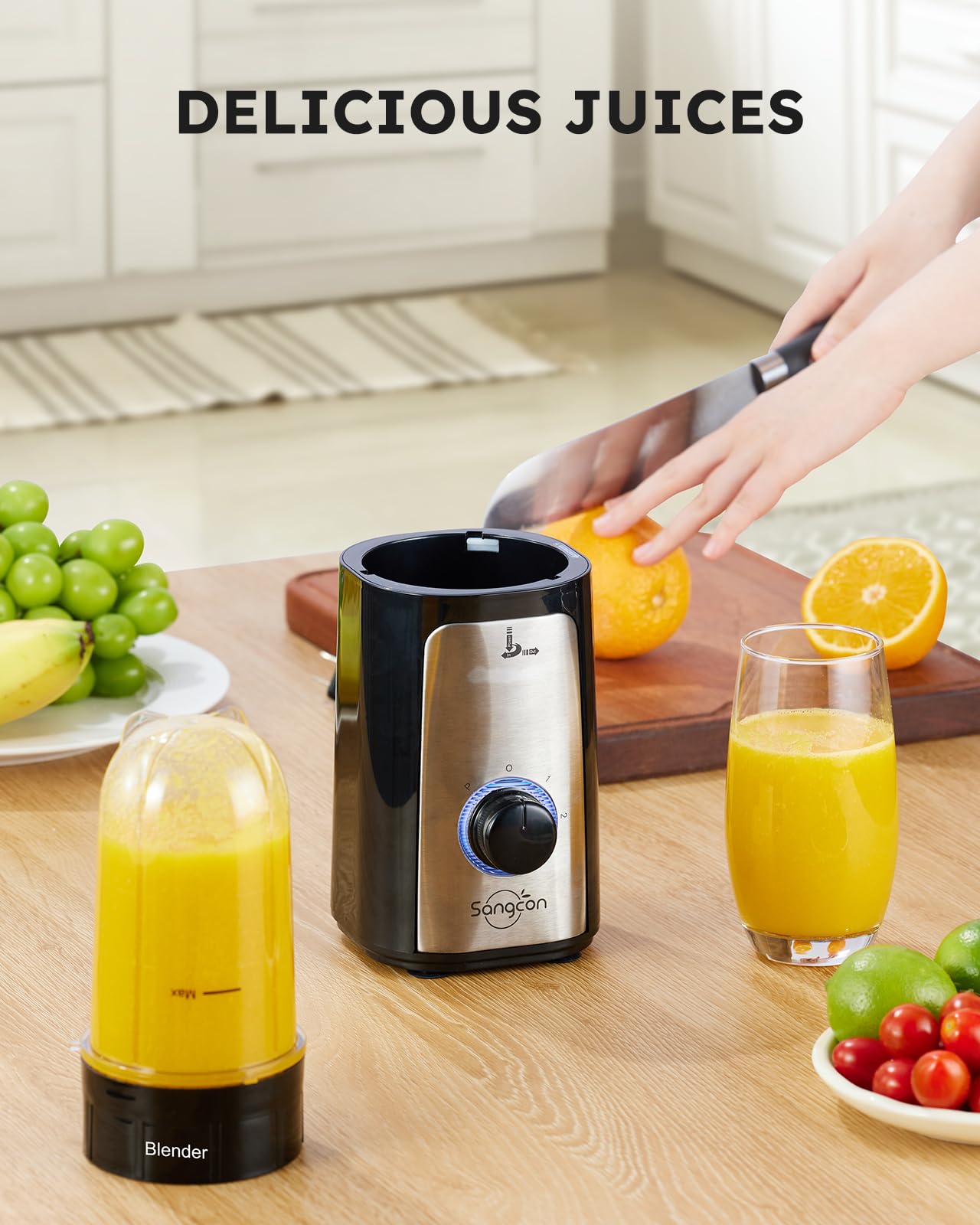 5-in-1 Blender & Food Processor Combo