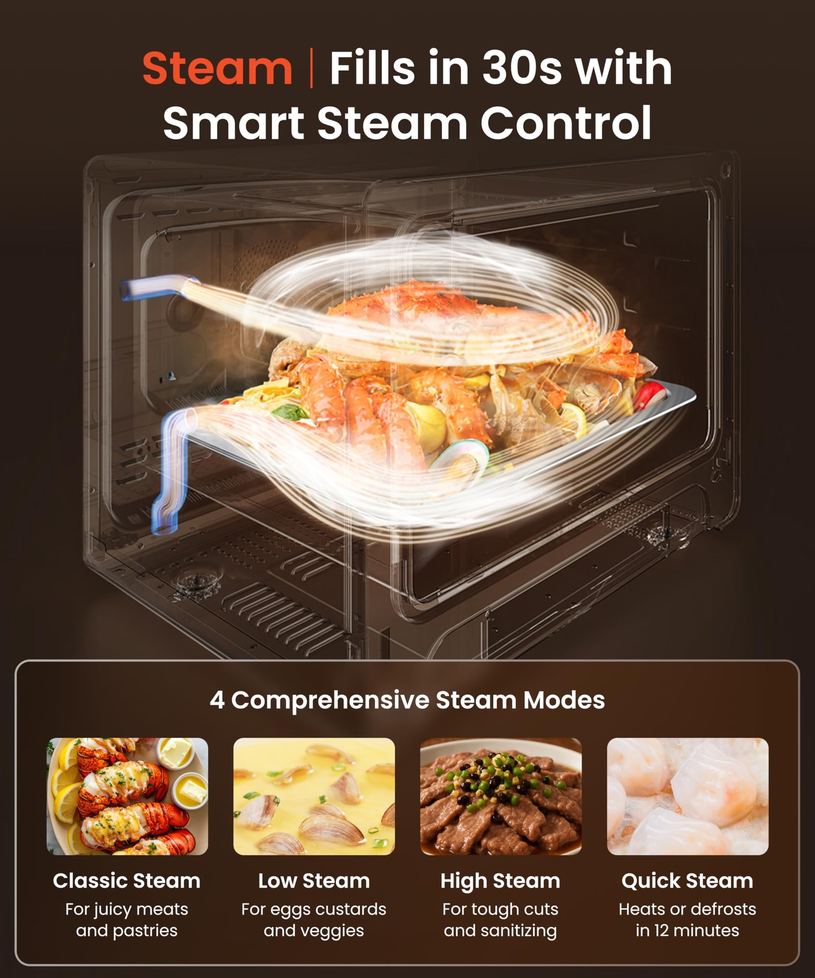 4-in-1 Steam Combi Oven with Air Fryer