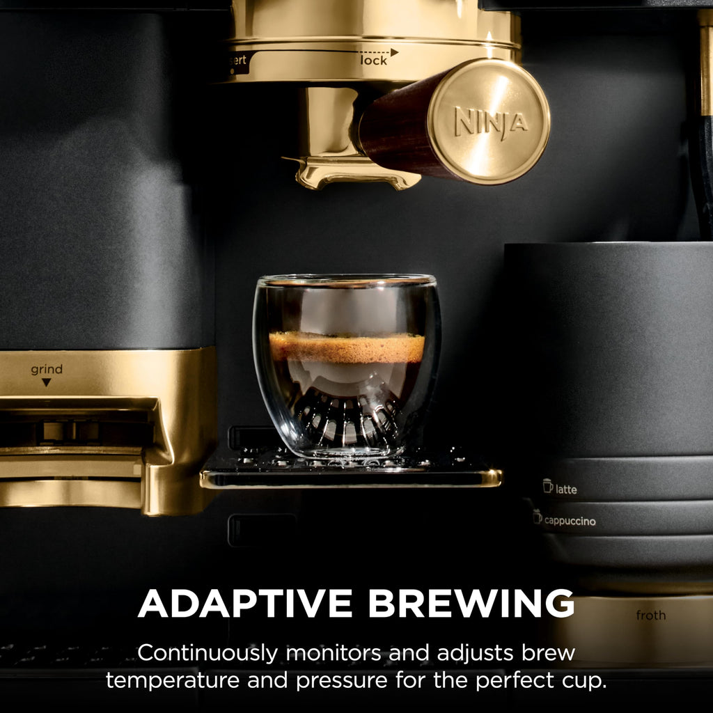 Espresso & Drip Coffee Maker with Cold Brew