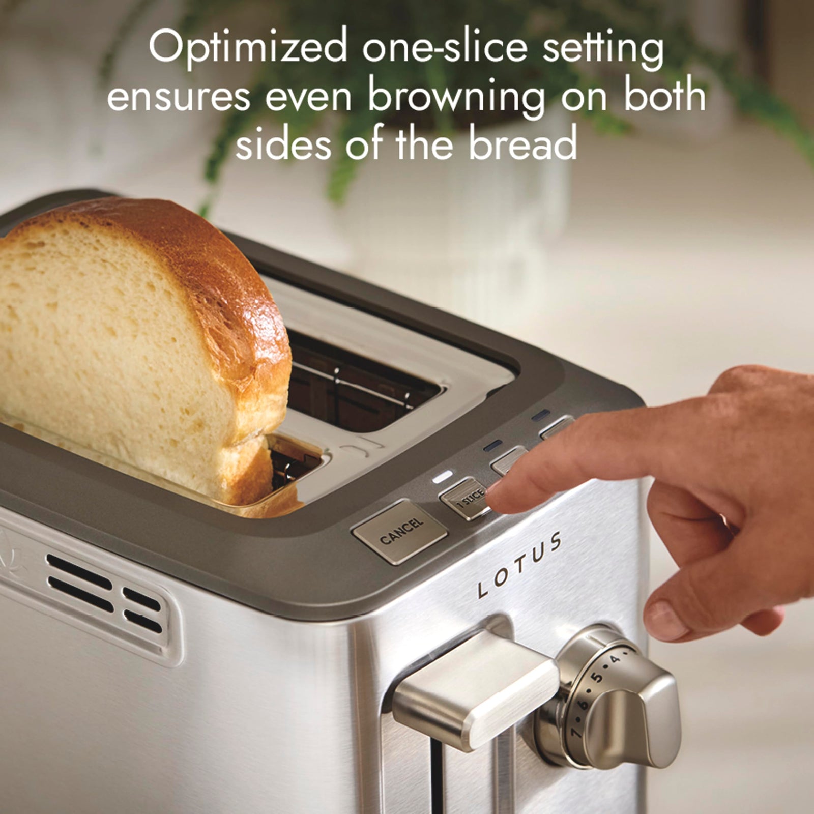 Lotus Toaster