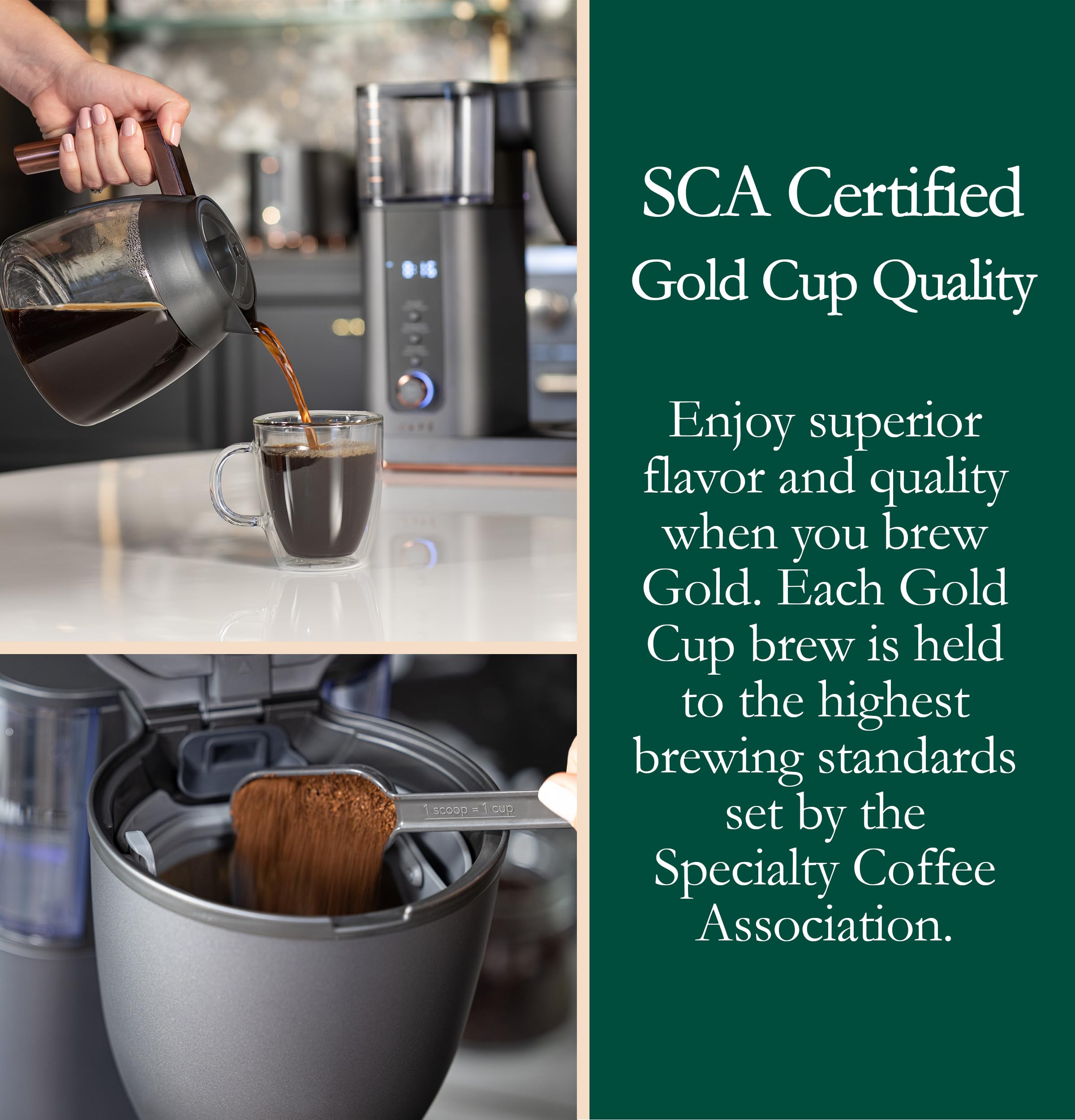 Stainless Steel Specialty Drip Coffee Maker