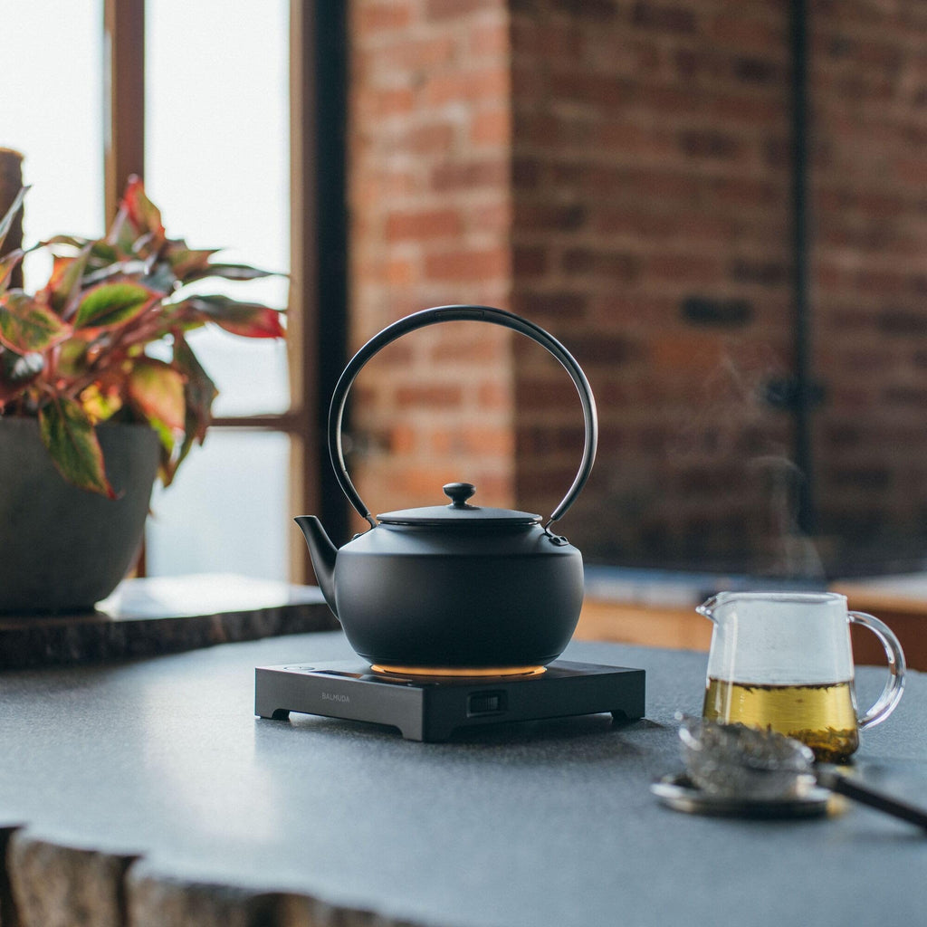 BALMUDA MoonKettle