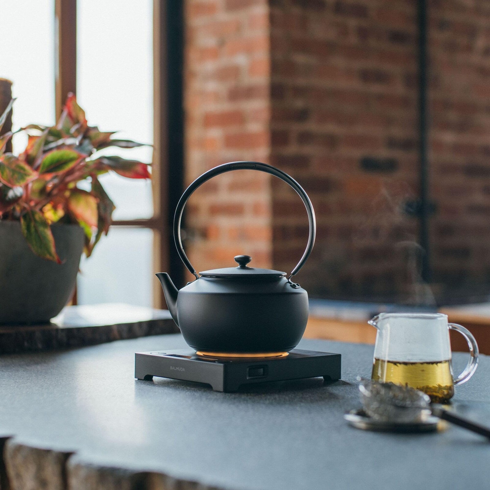 BALMUDA MoonKettle