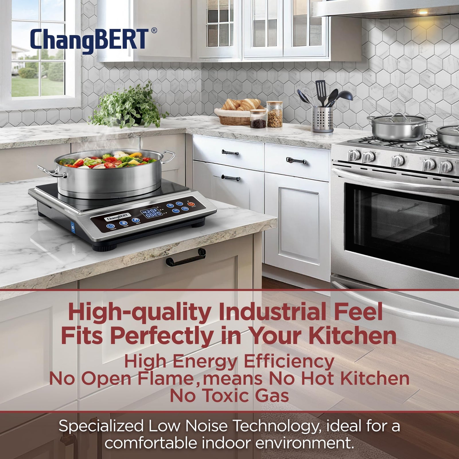 1800W Portable Induction Cooktop