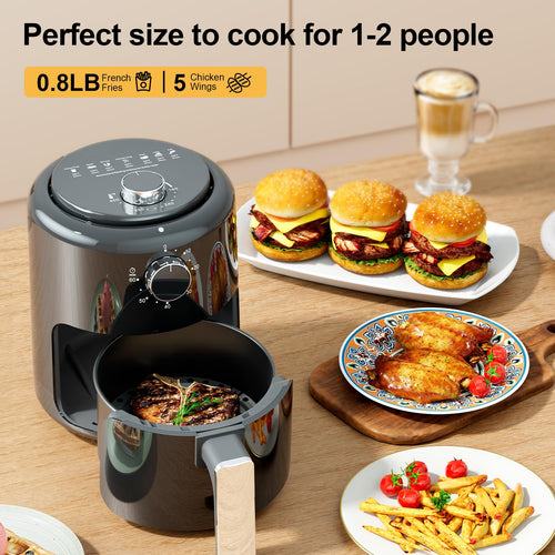 2 QT Mini 4-in-1 Air Fryer