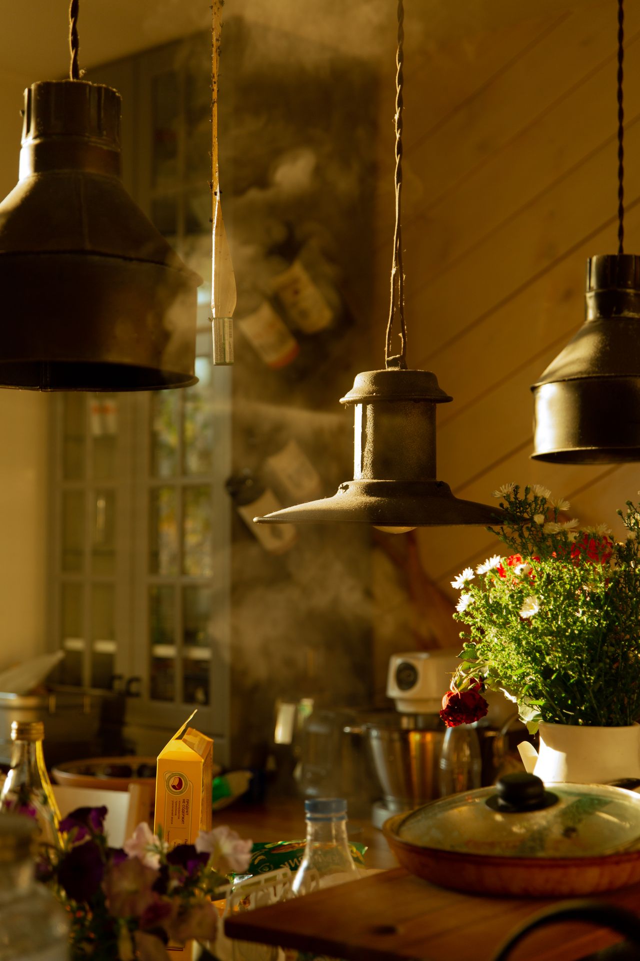 Gastrova kitchen appliance scene